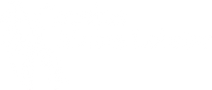 Cousins Maine Lobster, Shopify Plus Client